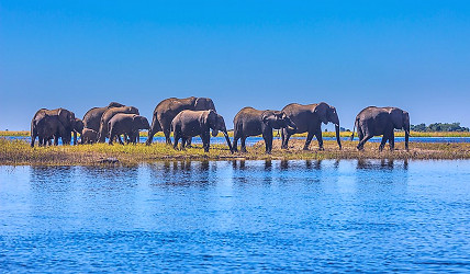 10 Interesting And Unique Facts About Botswana - WorldAtlas